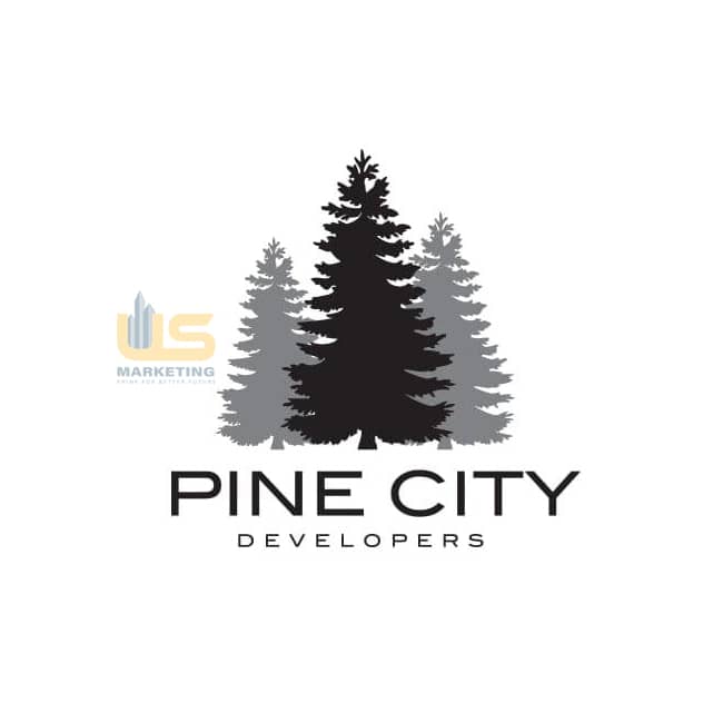 developers pine city